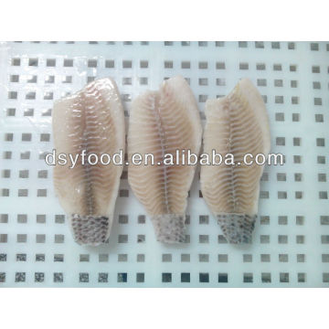 Frozen Tilapia fillet fish skinless